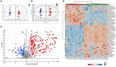 Metabolomic Alterations in the Tear Fluids of Patients With Superior Limbic Keratoconjunctivitis